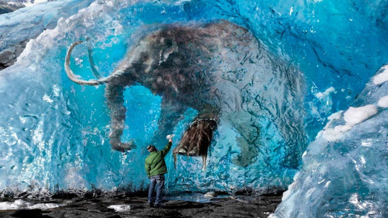 시베리아 9의 얼어붙은 매머드 사체의 미스터리