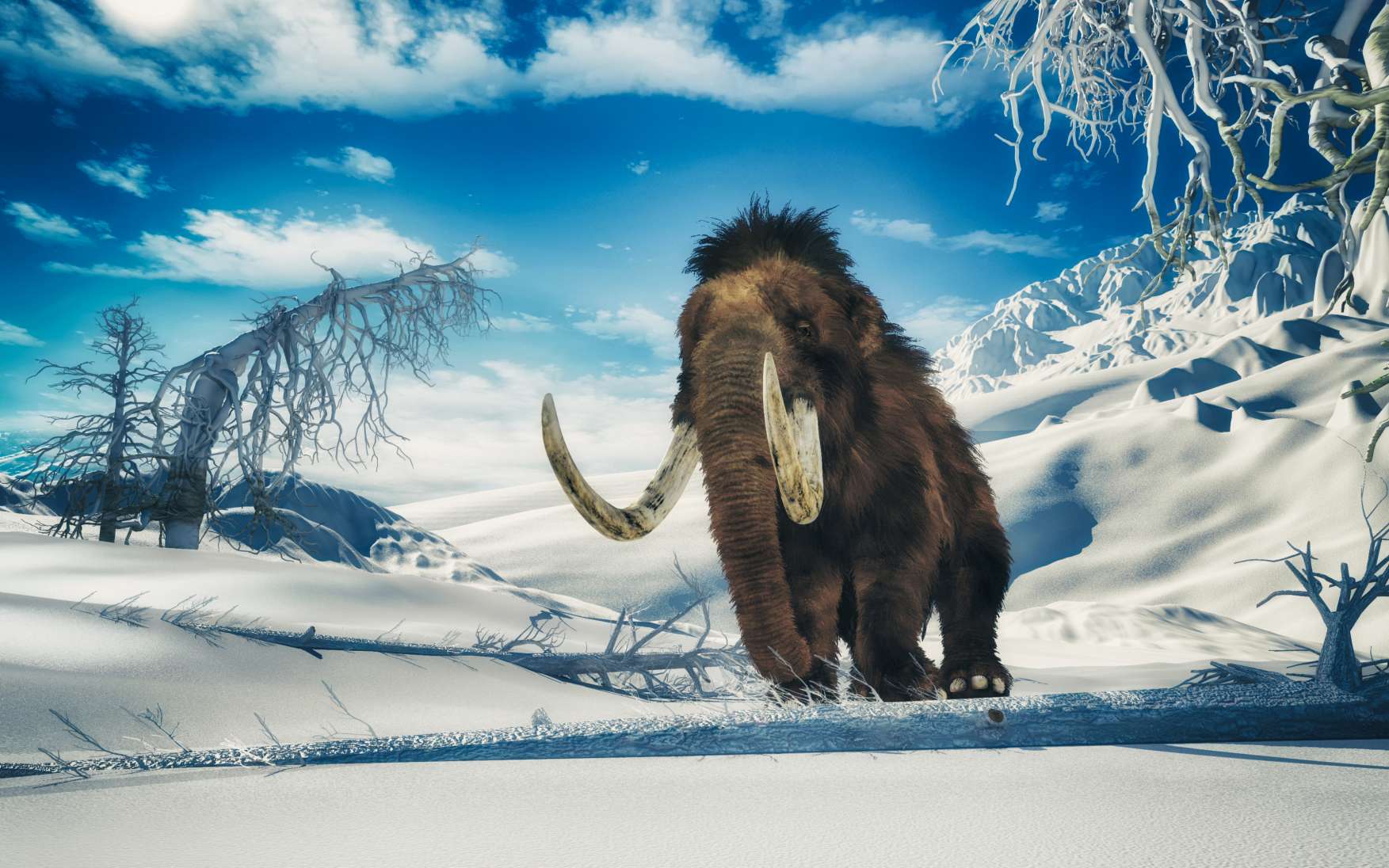 Misteri bangkai mammoth beku di Siberia 2