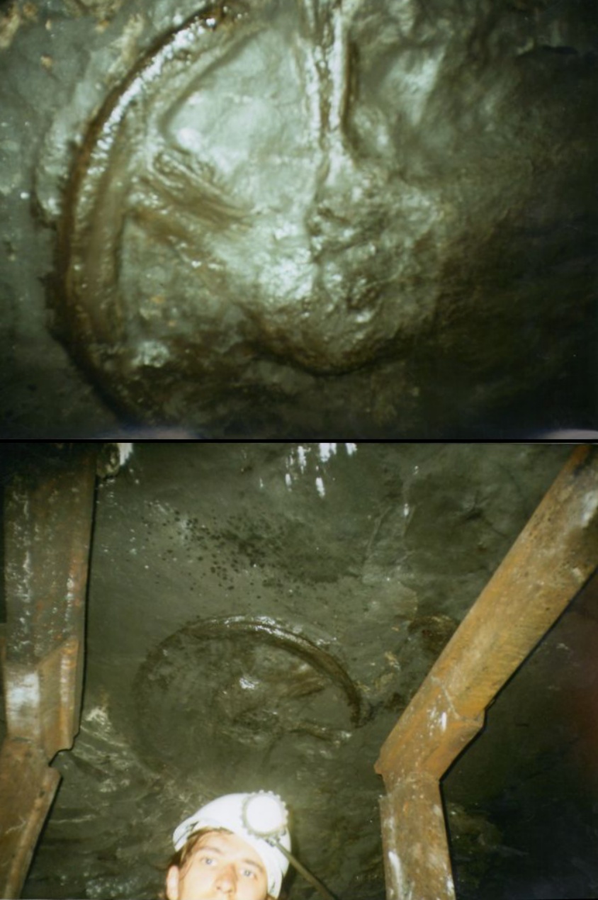 Пронајдено тркало старо 300 милиони години во рудник во Украина! 1