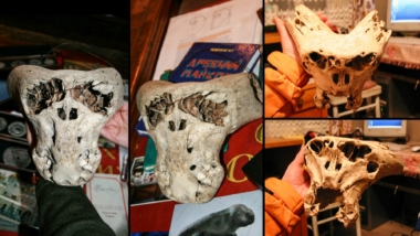 Bolsoj Tjach koponyák – a két titokzatos koponya, amelyet egy ősi hegyi barlangban fedeztek fel Oroszországban 12