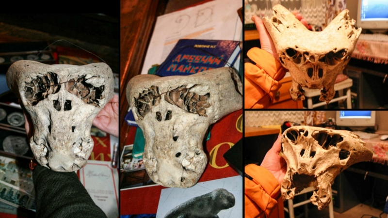 Bolshoi Tjach Skulls - les deux crânes mystérieux découverts dans une ancienne grotte de montagne en Russie 1