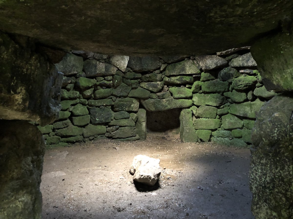 İngiltere, Cornwall'da keşfedilen bir düzineden fazla gizemli tarih öncesi tünel 2