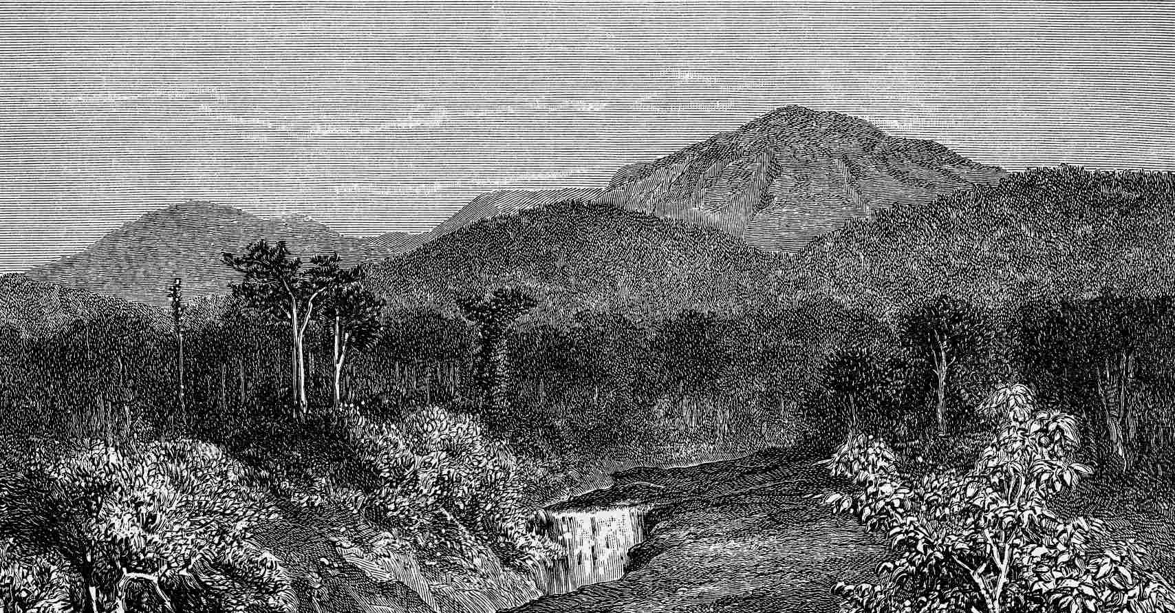 Did British explorer Alfred Isaac Middleton discover a mysterious lost city? 2
