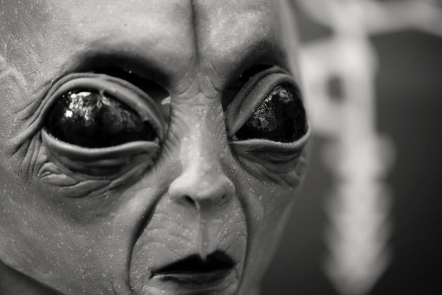 Проект Серпо: секретный обмен между инопланетянами и людьми 2