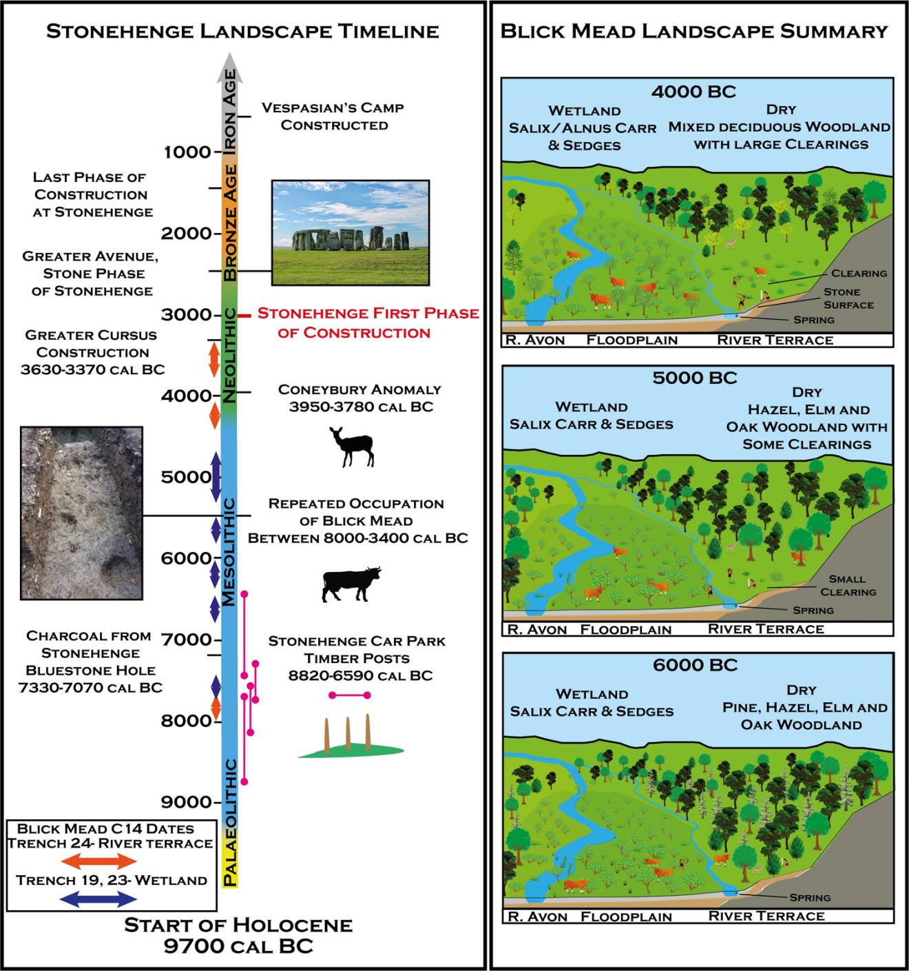 A) Časová os krajiny Stonehenge vrátane rádiokarbónových dát pochádza z Blick Mead a ďalších významných archeologických lokalít Stonehenge svetového dedičstva. B) Reprezentácia vývoja vegetačnej histórie v Blick Mead na základe paleoenvironmentálnych údajov.