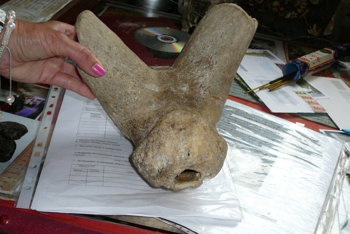 Бољшој Тјач Черепи - двата мистериозни черепи откриени во античка планинска пештера во Русија