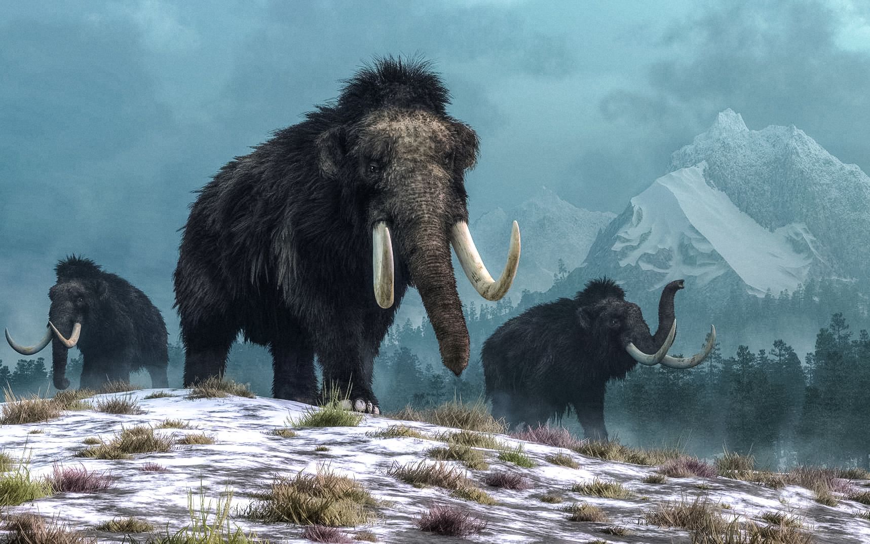 Zgodnji ameriški ljudje so lovili velikanske armadilose in živeli v njihovih oklepih 5
