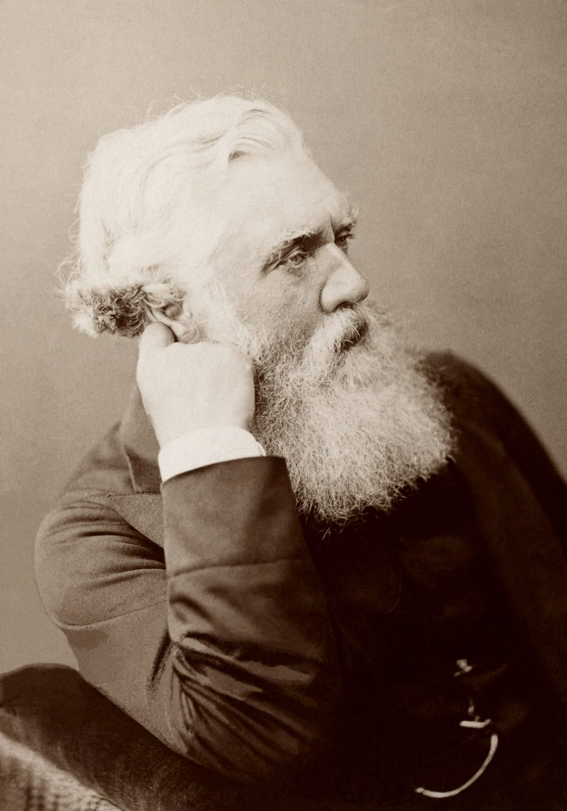 Austen Henry Layard (1883)