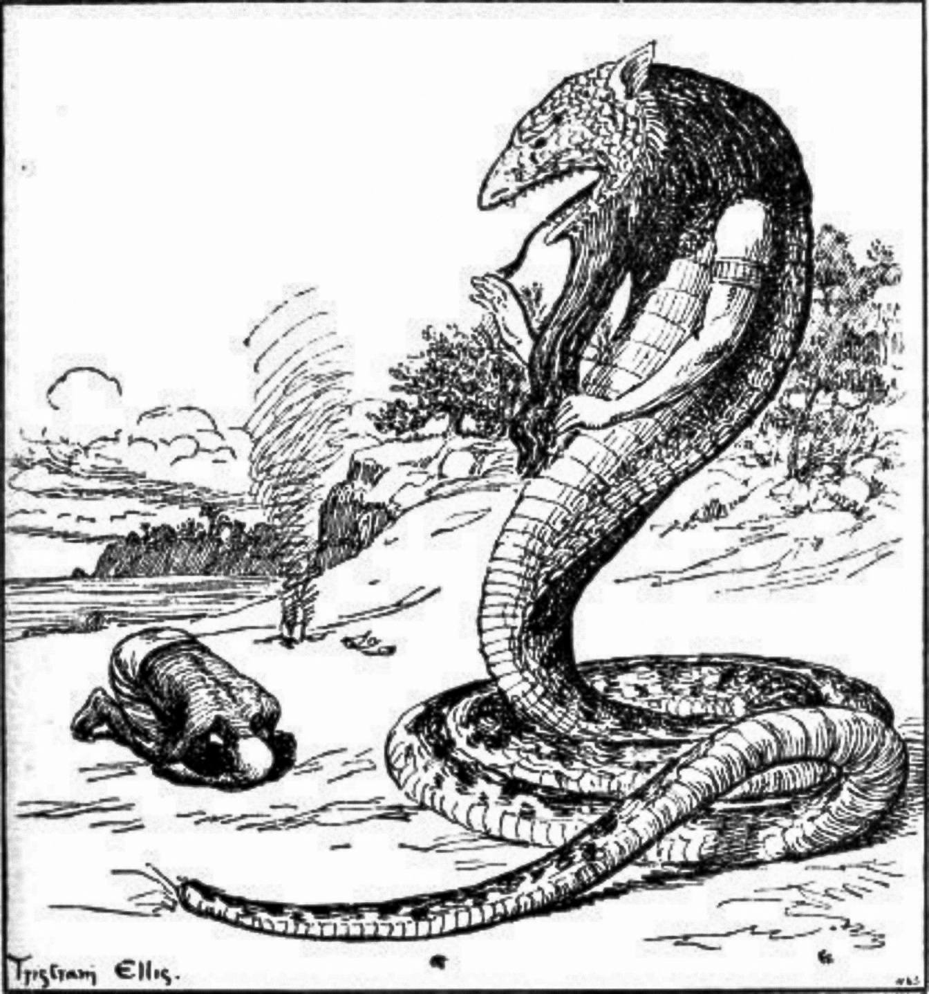 蓬特之王是一條巨大的會說話的蛇。