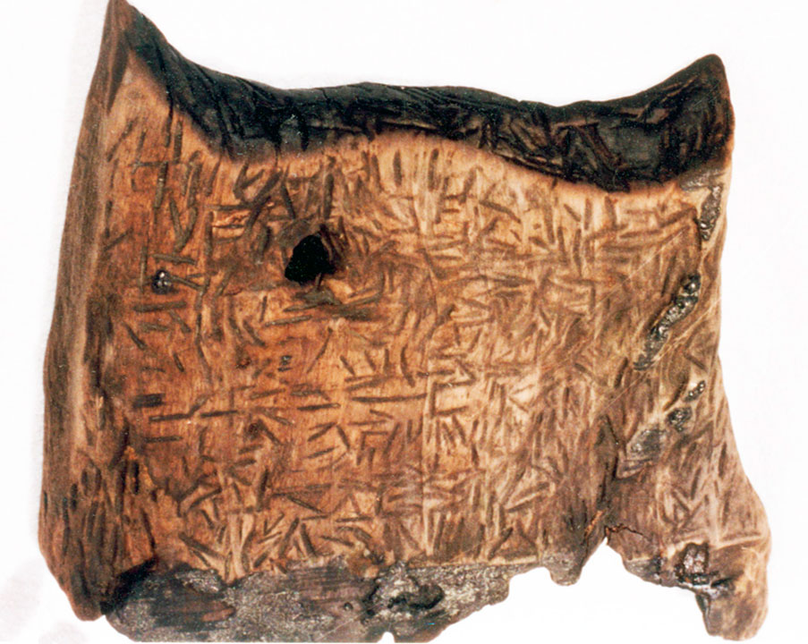 De Dispilio-tablet - de oudst bekende geschreven tekst zou de geschiedenis kunnen herschrijven! 2