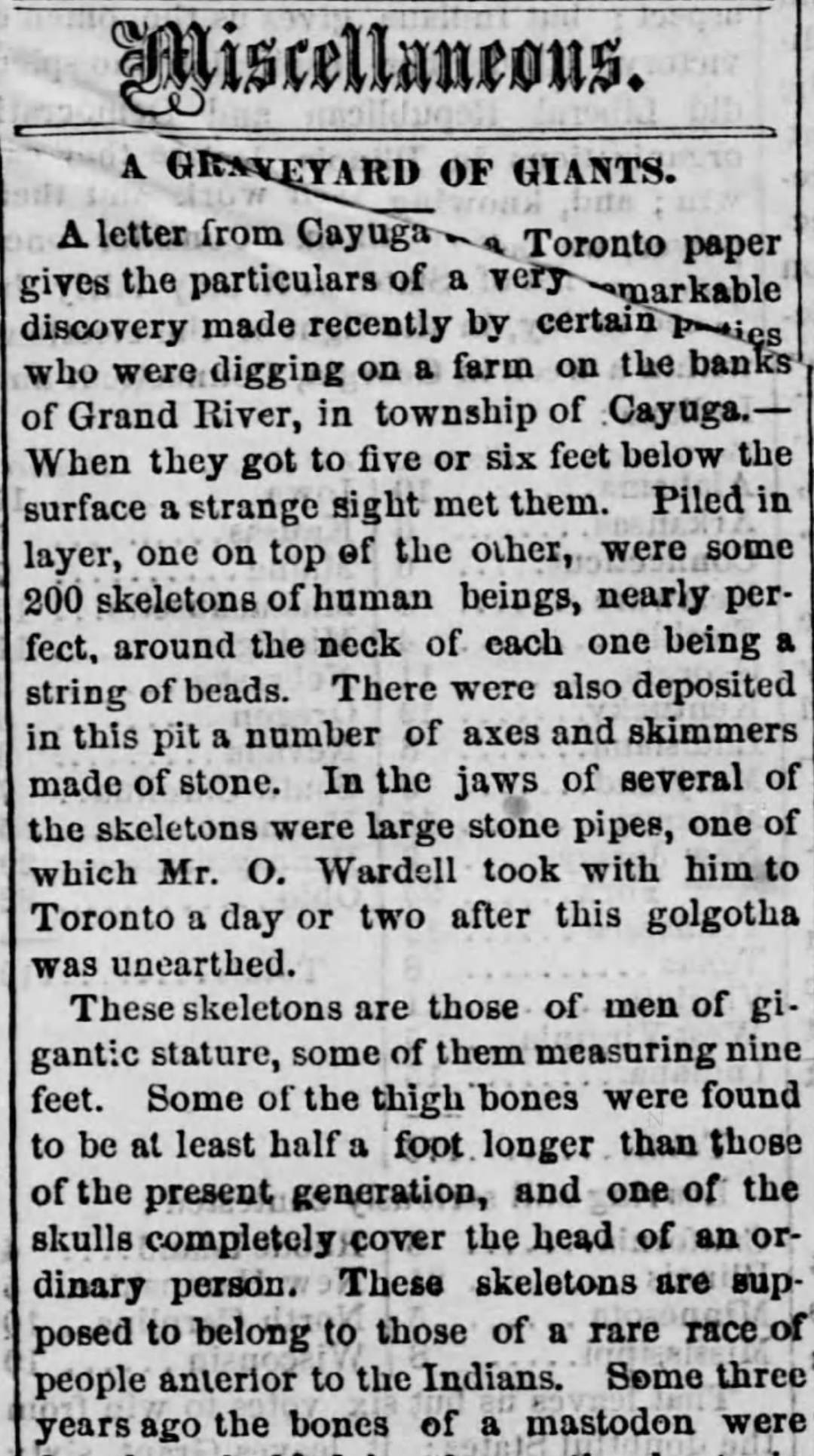 200 antiguos esqueletos 'gigantes' desenterrados en Cayuga, Canadá 1