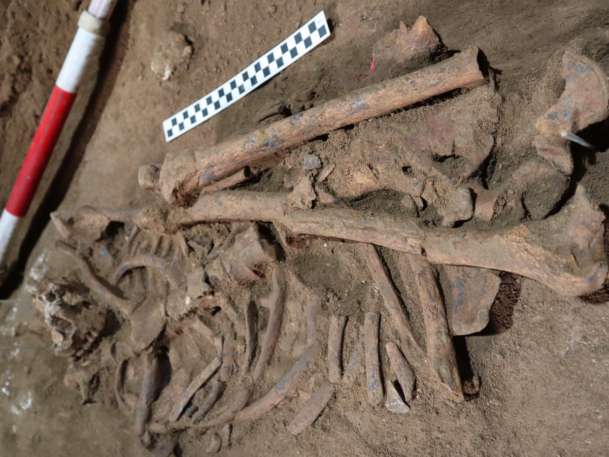 Bilinen en eski karmaşık ameliyatı gösteren 31,000 yıllık bir iskelet tarihi yeniden yazabilir! 2