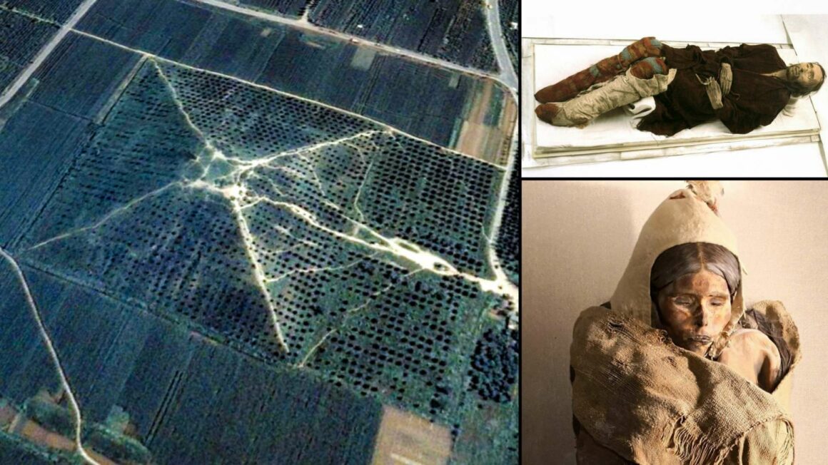 Произходът на древните арийски мумии и мистериозните пирамиди в Китай 11