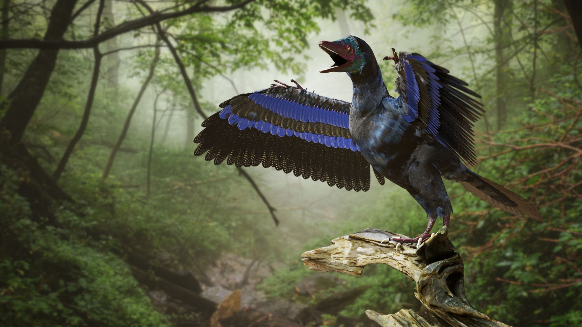 Archaeopteryx, vtáčí dinosaurus z obdobia neskorej jury asi pred 150 miliónmi rokov (3D zobrazenie)