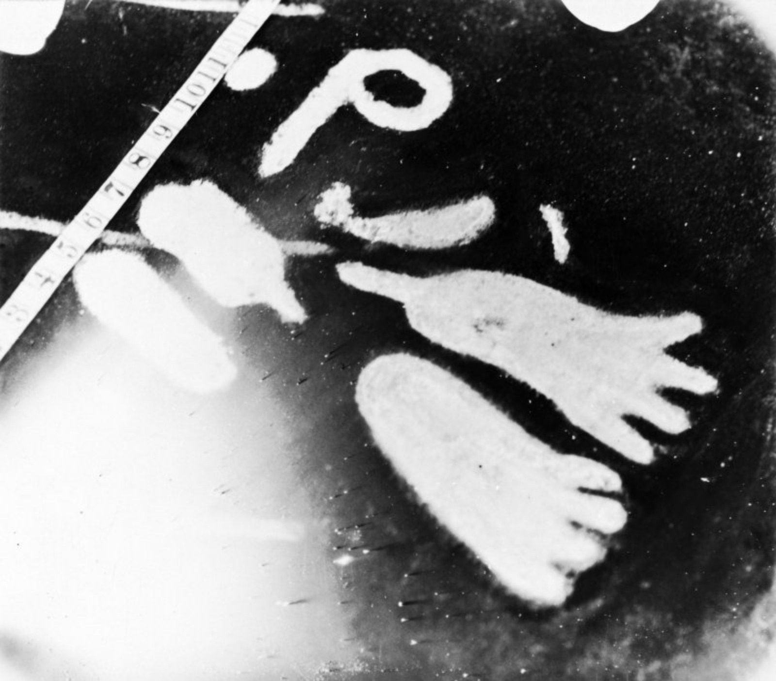 Il-footprints b'erba 'swaba' nċiżi fuq il-wiċċ tal-Cochno Stone.