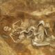 Reus van Odessos: Skelet opgegrawe in Varna, Bulgarye 7