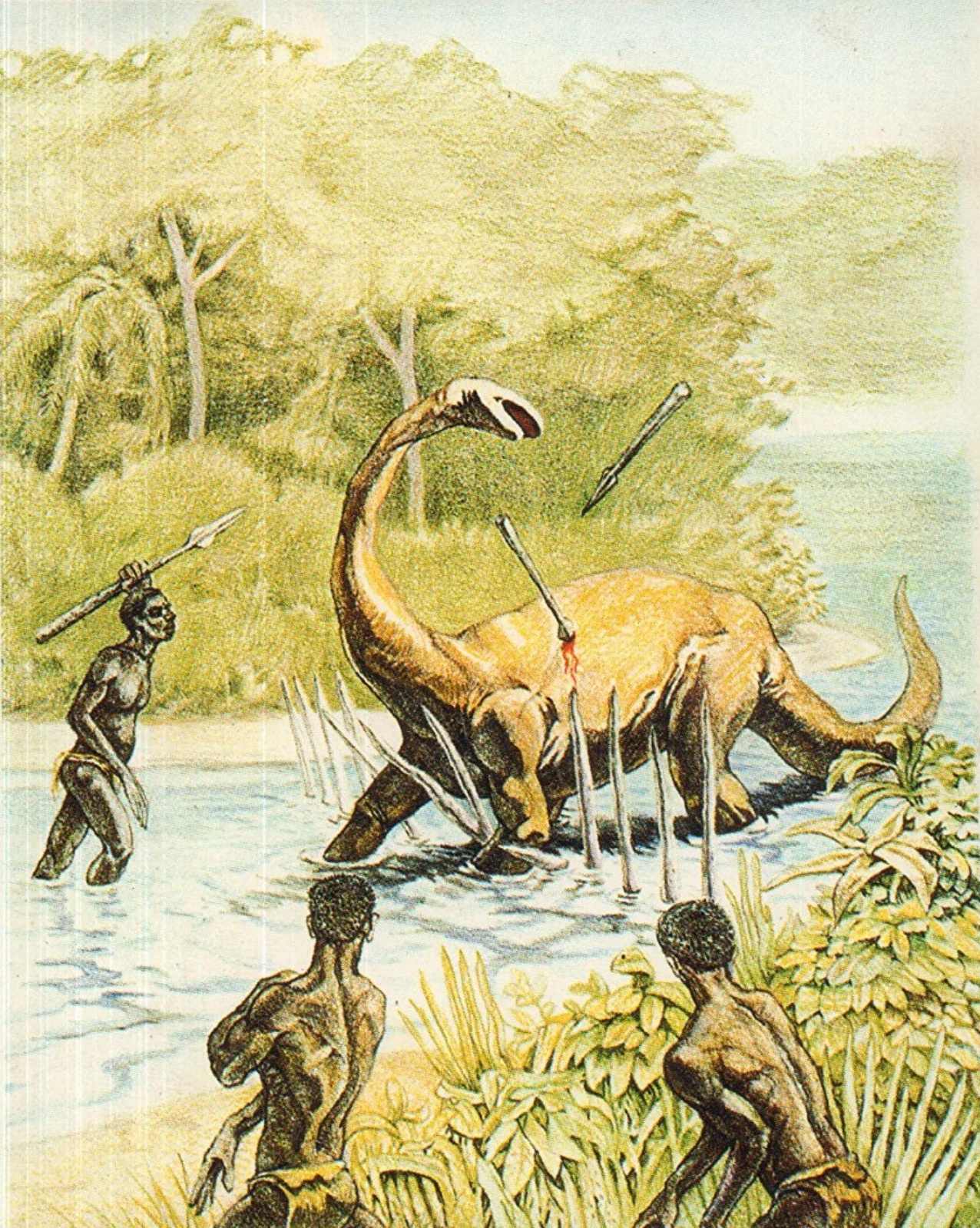 Mokele-Mbembe – the mysterious monster in the Congo River Basin 4