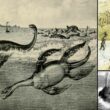 Mokele-Mbembe – the mysterious monster in the Congo River Basin 2