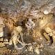 Die Theopetra-Höhle: Uralte Geheimnisse der ältesten von Menschenhand geschaffenen Struktur der Welt 4