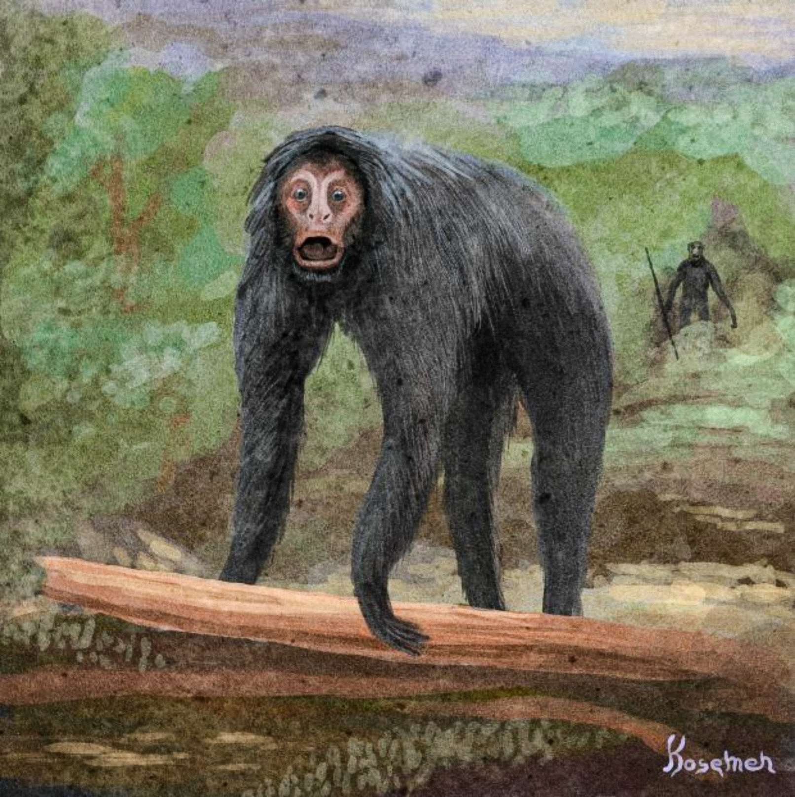 Një interpretim spekulativ i ngjarjes, primati tjetër i paraqitur në pjesën e pasme me një vegël në dorë (art nga Kosemen)