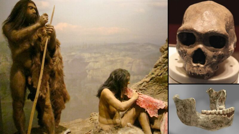 Alien DNA in the body of the world's oldest human ancestor!