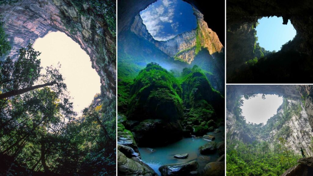 Giant sinkhole in China reveals an undisturbed ancient forest 2