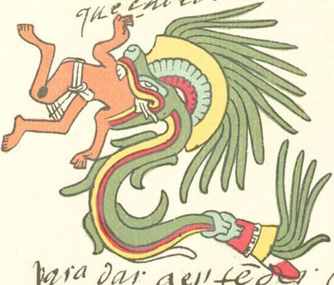 Раннее изображение Якумамы. Якумама – таинственный гигантский змей, обитающий в водах Амазонки.