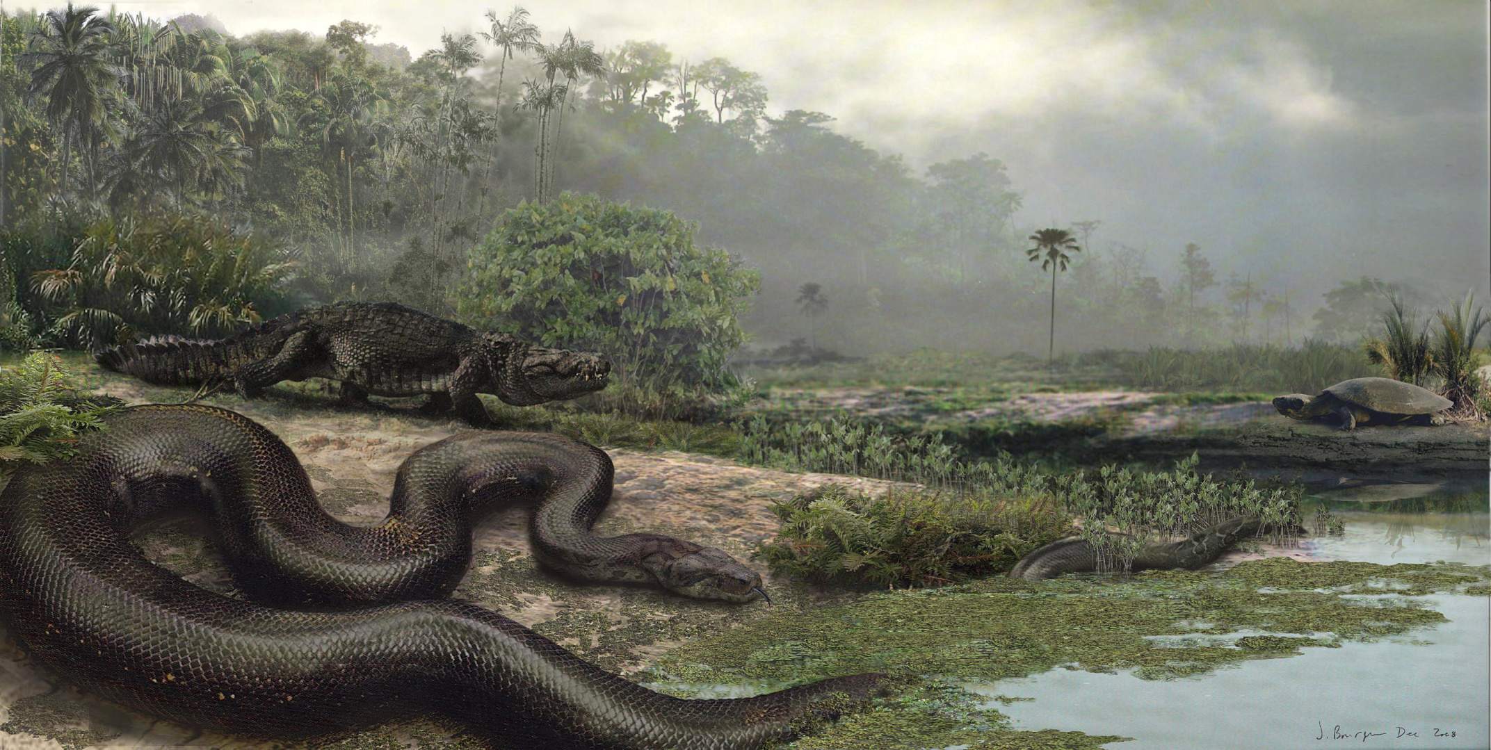 Титанобоа, возможное объяснение Якумамы. Якумама – таинственный гигантский змей, обитающий в водах Амазонки