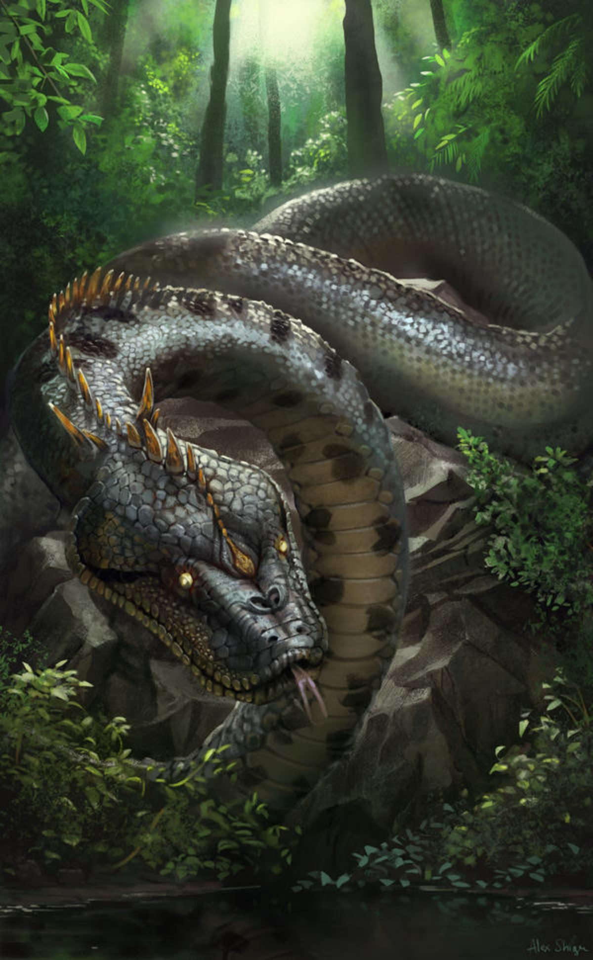 Домородните народи на Амазон често зборувале за Јакумама — змијата на водата.