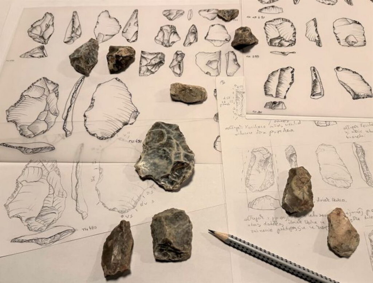 Artefacte din silex din peștera Tunel Wielki, realizate în urmă cu jumătate de milion de ani, posibil, de Homo heildelbergensis.