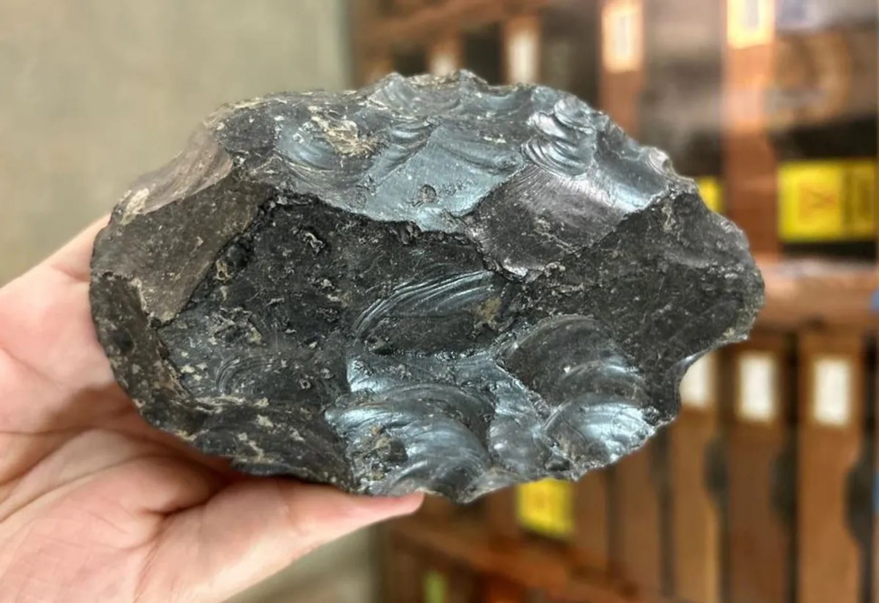 I-obsidian handaxe, eyenziwe i-hominid engaziwa eminyakeni eyizigidi ezingu-1.2 edlule.