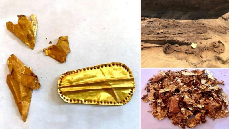 Mumi dengan lidah emas ditemukan di pekuburan Mesir kuno 1