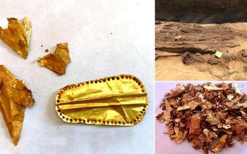 Мумије са златним језицима откривене у староегипатској некрополи 3
