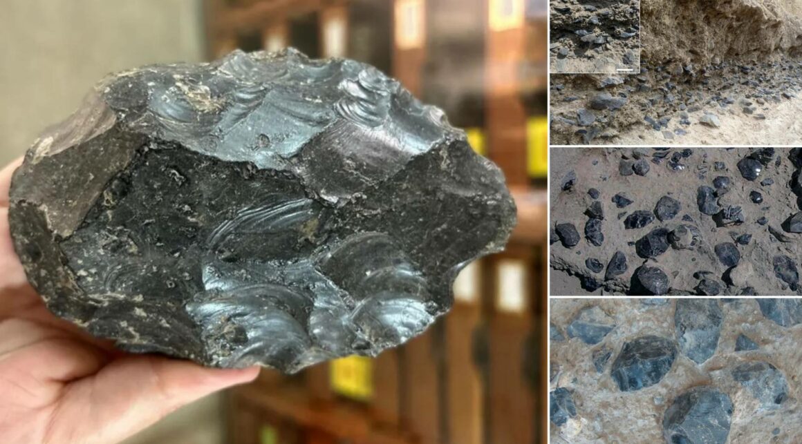 โรงงานขวาน Obsidian เมื่อ 1.2 ล้านปีก่อนถูกค้นพบในเอธิโอเปีย 7