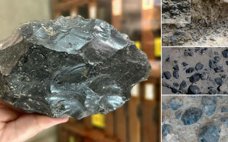 Laboratorio di fabbricazione di asce di ossidiana di 1.2 milioni di anni fa scoperto in Etiopia 7