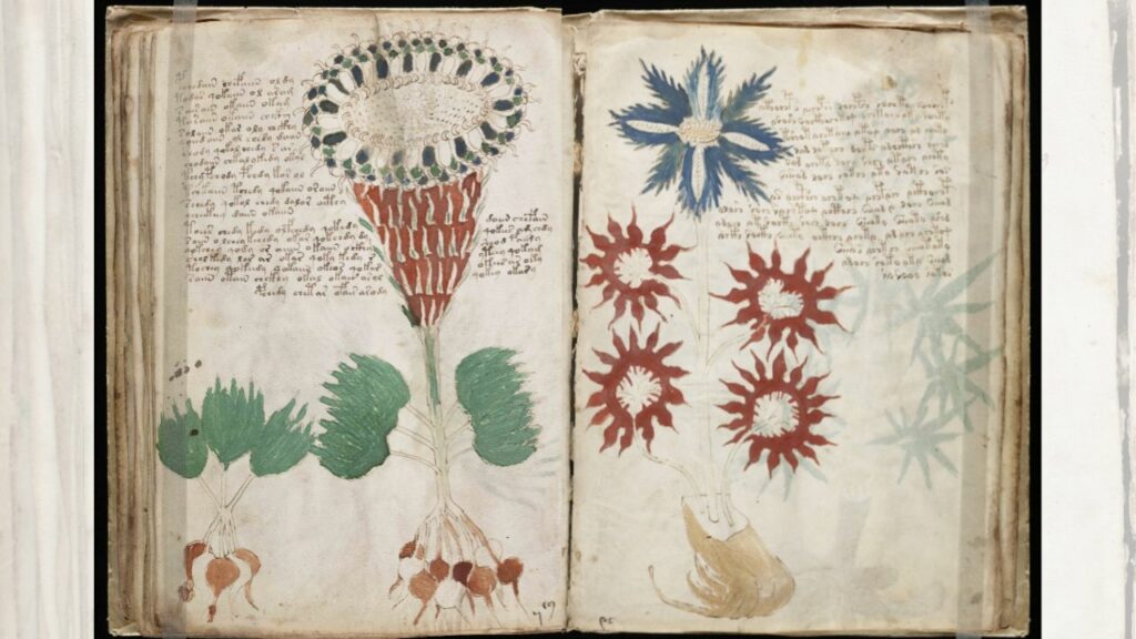 Manuscrisul misterios Voynich: Ce trebuie să știți 6