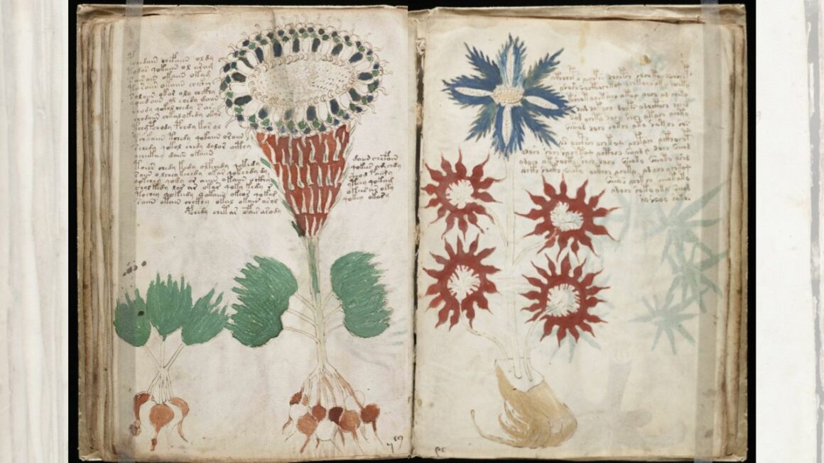 Manuscrisul misterios Voynich: Ce trebuie să știți 14