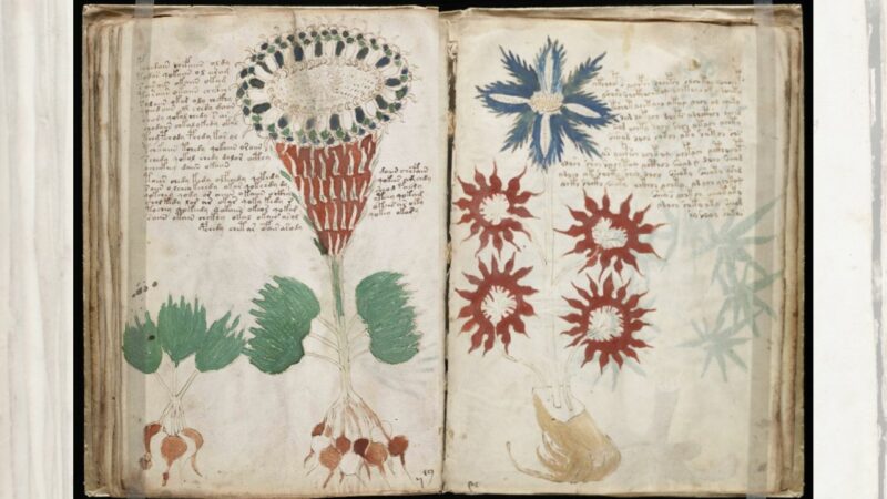 A titokzatos Voynich-kézirat: Amit tudnod kell 1