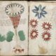 Det mystiske Voynich-manuskript: Hvad du behøver at vide 5