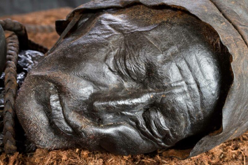 The well-preserved head of Tollund Man, complete with a pained expression and a noose still wrapped around his neck. Image credit: Photo by A. Mikkelsen; Nielsen, NH et al ; Antiquity Publications Ltd