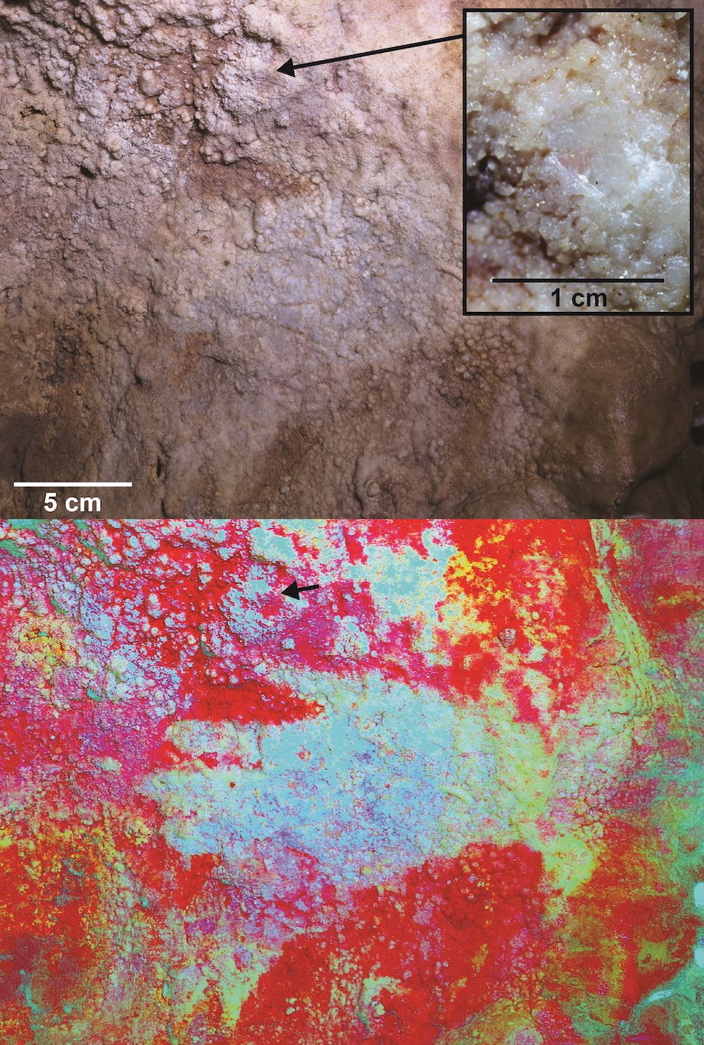Един от няколкото дузини шаблони за ръце, останали в пещерата Малтравезо. В случая с тази ръка неандерталецът, който я е оставил, би трябвало да лежи на пода, тъй като е създадена върху таван, висок едва 30 см.