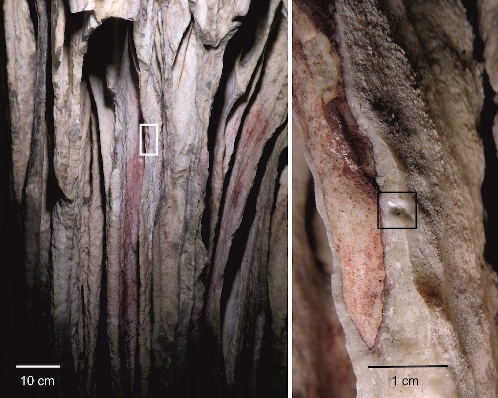 Red pigment washed into the concavities of a bright stalactite drapery in Ardales Cave.