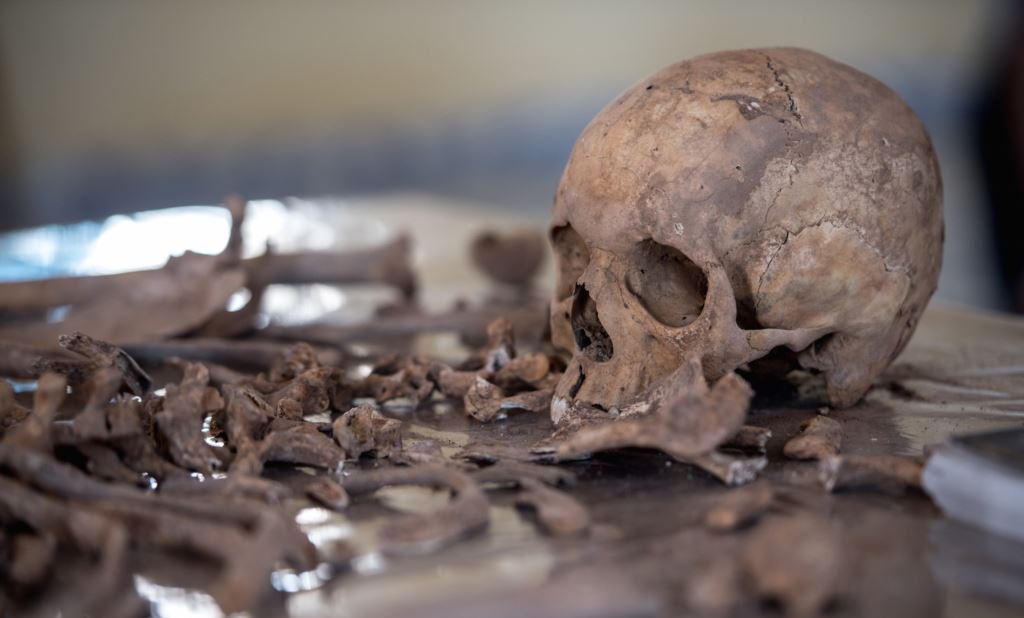 Recent skeletal DNA analysis proves German, Danish & Dutch origins of the English people 1
