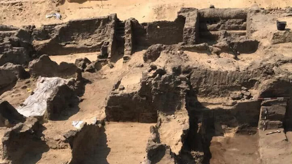 Мумије су пронађене у некрополи Кеваисна, гробљу у Египту које има стотине гробница из различитих периода у историји земље