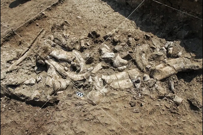 지금까지 발견된 가장 오래된 석기는 인간의 손으로 만든 것이 아니라고 연구 결과 6
