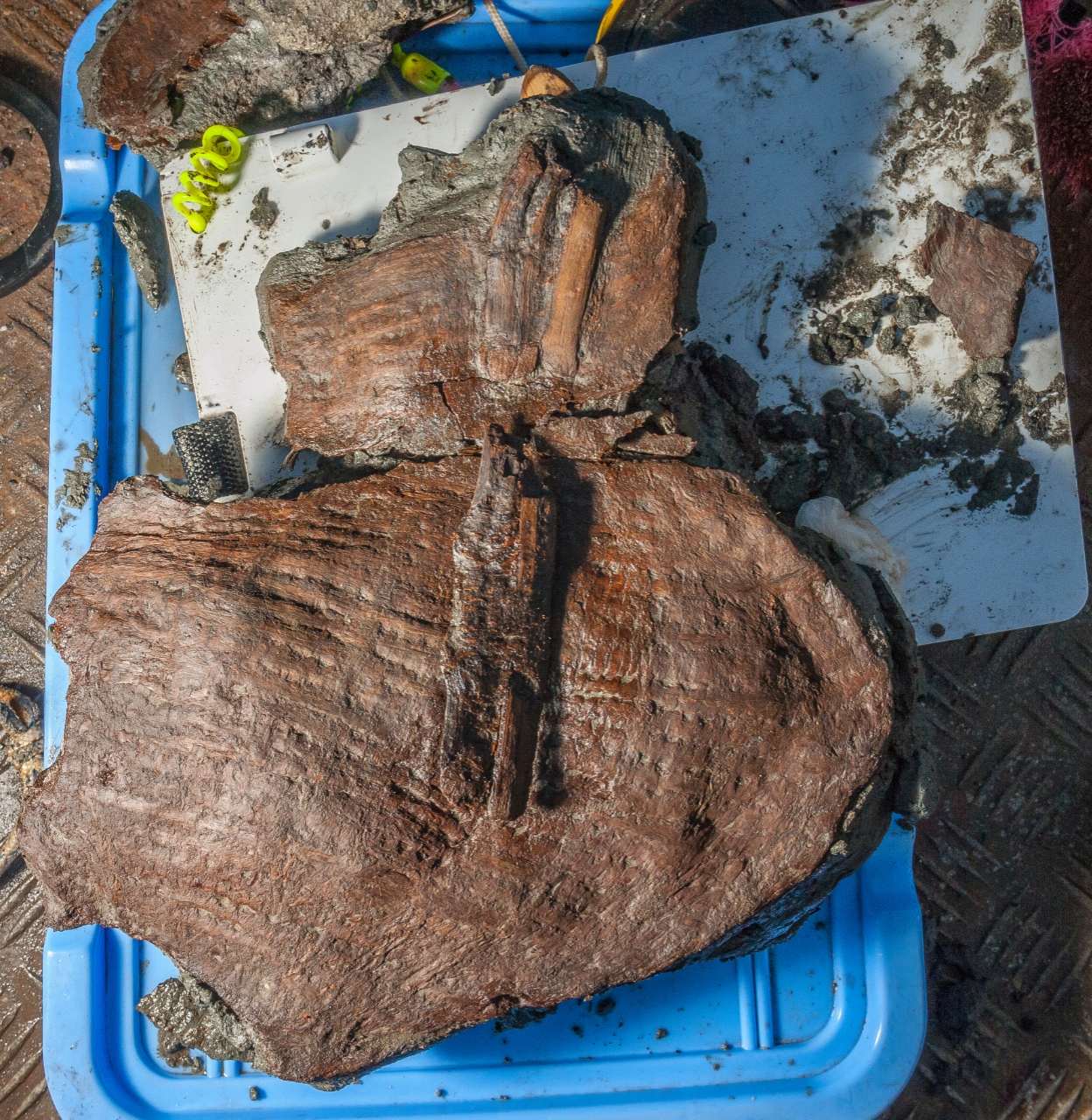 2,400 Jahre alte Körbe, die immer noch mit Früchten gefüllt sind, die in der versunkenen ägyptischen Stadt 1 gefunden wurden