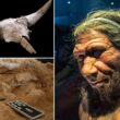 Ar neandertaliečiai laikė medžioklės trofėjus? 2