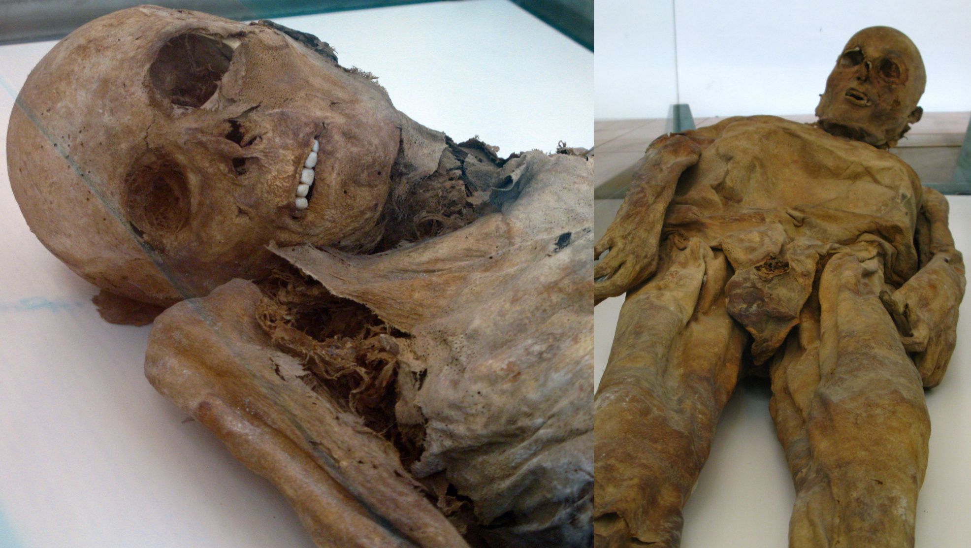 Două dintre mumiile Venzone conservate înfiorător. Cu descompunerea normală, dinții tind să cadă la câteva săptămâni după moarte.