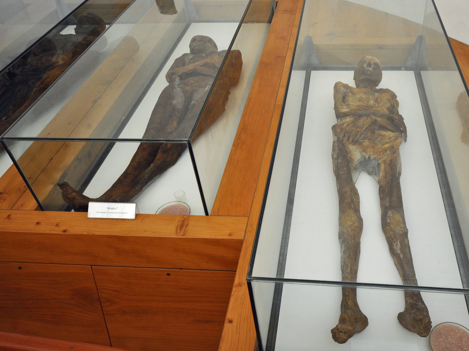 Ko nga mummies Venzone kei te whakaatu tonu i te whare karakia urupa o Saint Michael