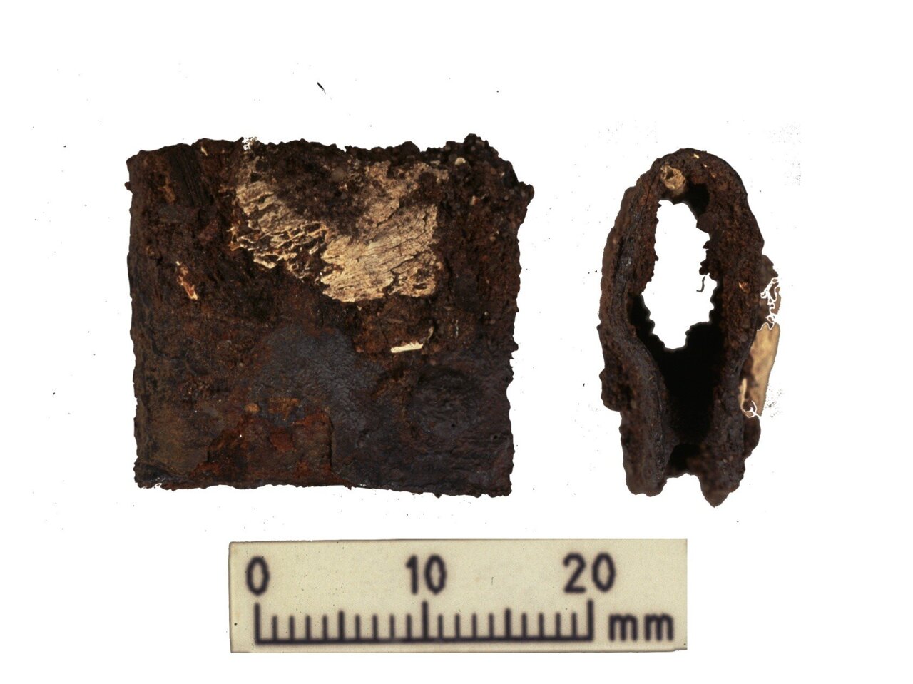 Închizătoare de la scutul războinic viking găsit în timpul săpăturilor originale din 1998-2000. Închizătorul a fost găsit în același mormânt cu rămășițele umane și animale analizate în timpul ultimelor cercetări.